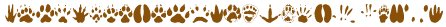 animal tracks